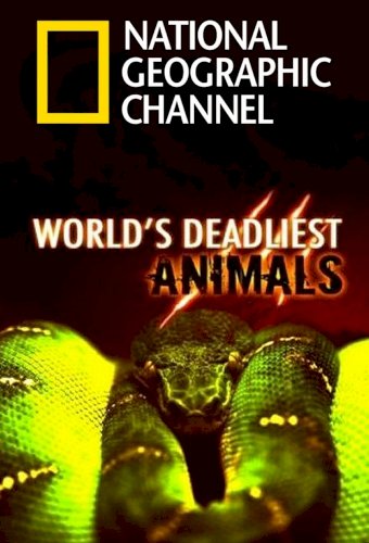 Earth's Deadliest Animals